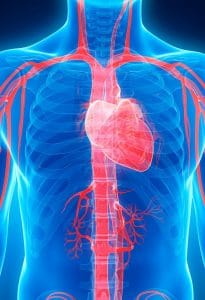 Image de Maladies Cardio-Vasculaires