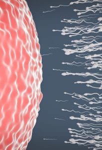 Image de Maladies Liées à La Procréation