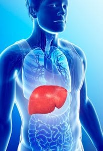 Image de Maladie Du Foie